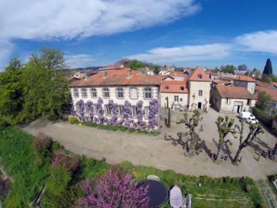 Manoir D'Aubeterre Hotel Marsat Bagian luar foto